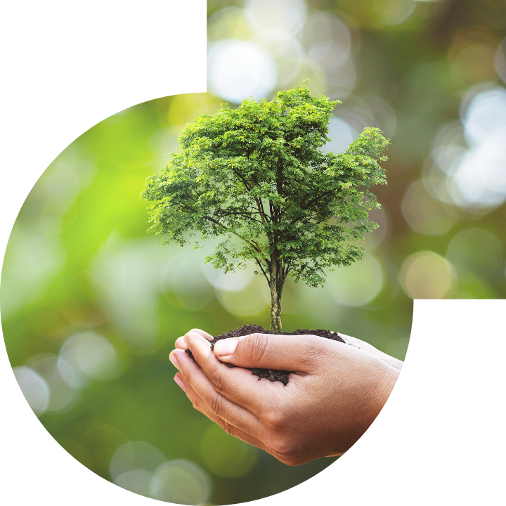 关怀人类、文化、环境与社会